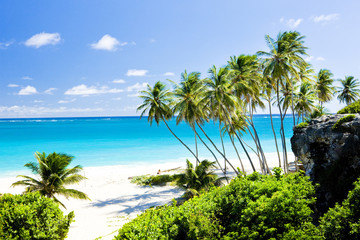 Fototapete Karibik Bottom Bay, Barbados, Karibik  © Richard Semik