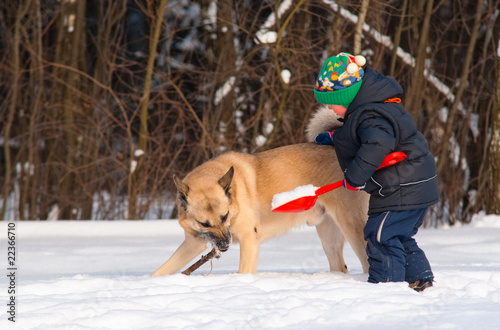 Dog and little boy playing in winter forest