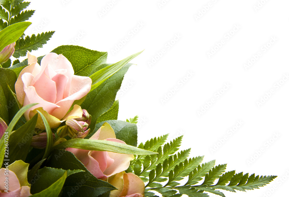 Fototapeta premium Flower card