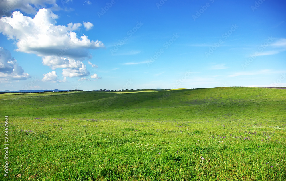 Obraz premium Green field at Portugal, Alentejo region.