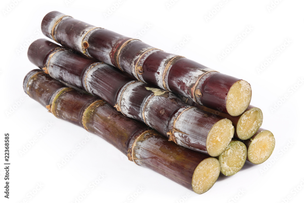 sugar cane