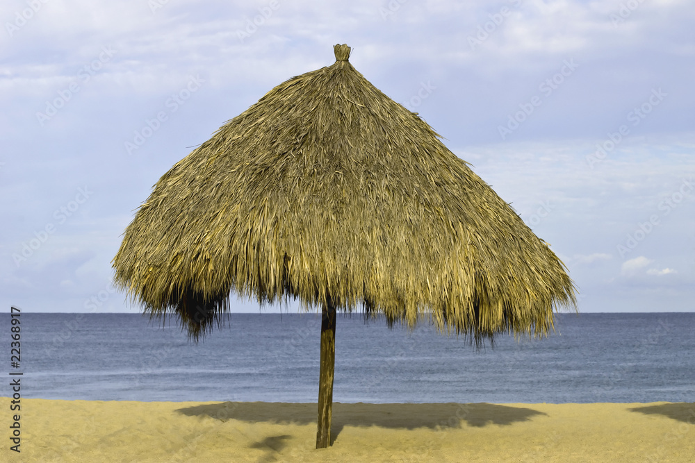 Palm thatched palapa on the beach