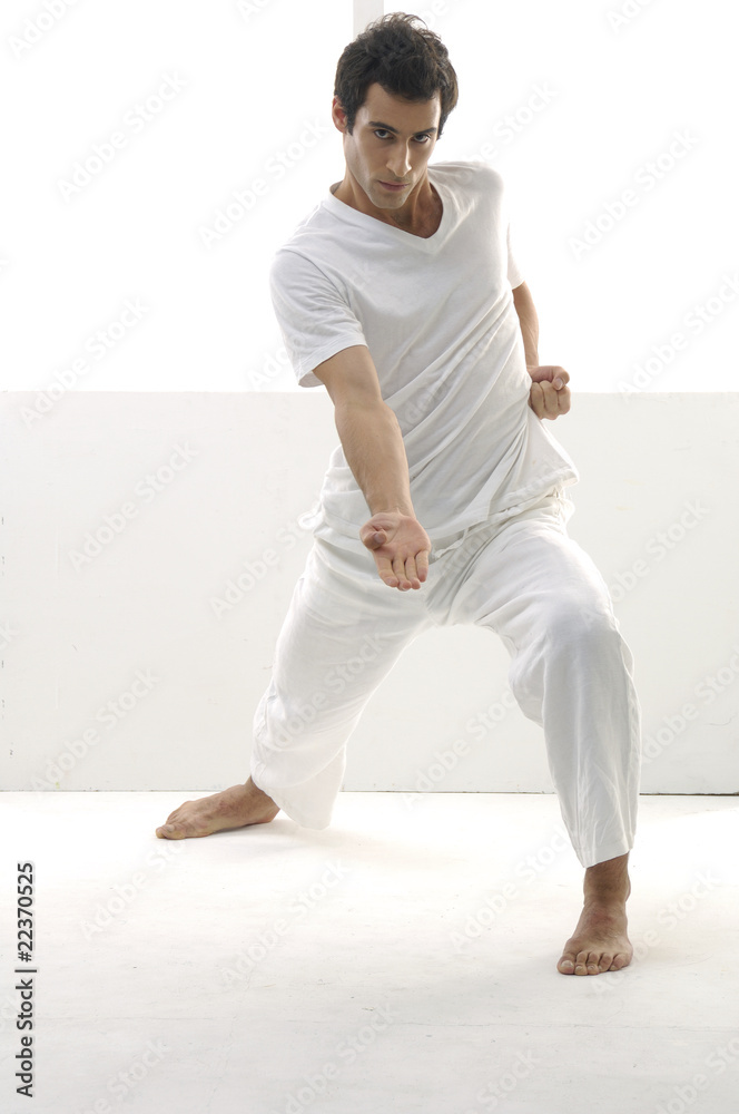 Fototapeta premium kungfu sportsman,