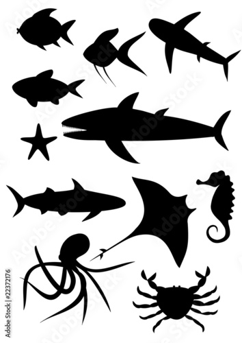 Sealife vector