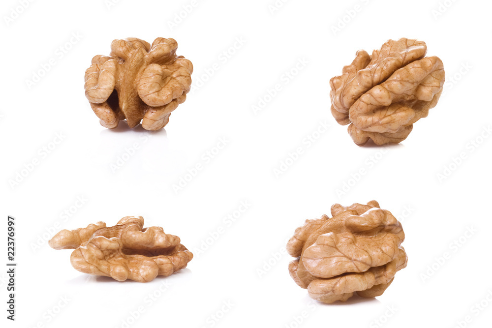 four walnuts at white background four walnuts at white background