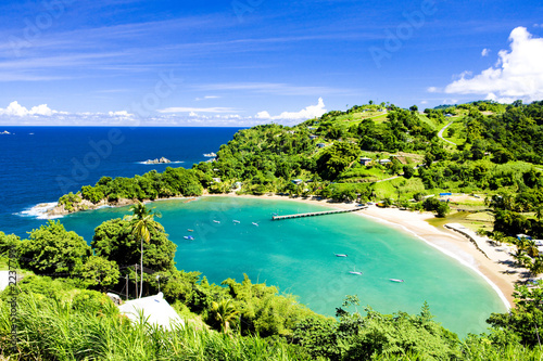 Fototapeta Naklejka Na Ścianę i Meble -  Parlatuvier Bay, Tobago