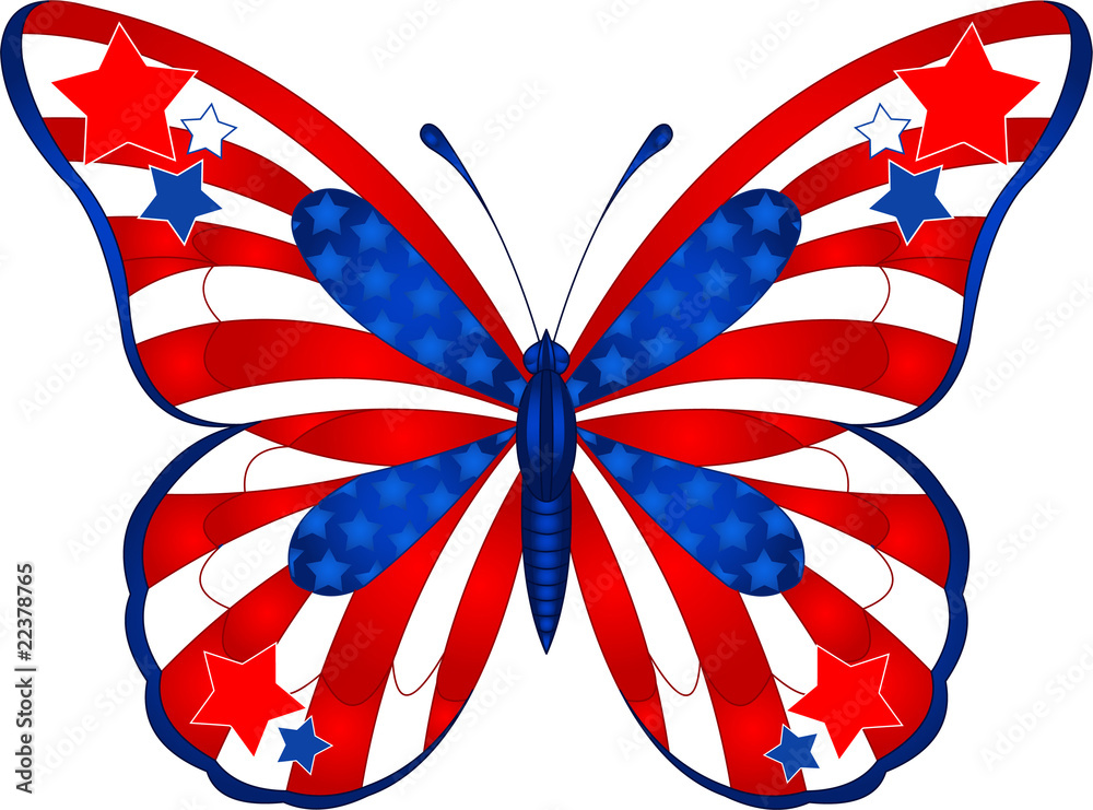 Fototapeta premium USA butterfly