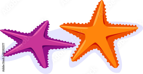 starfish