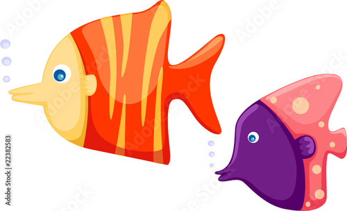 fish