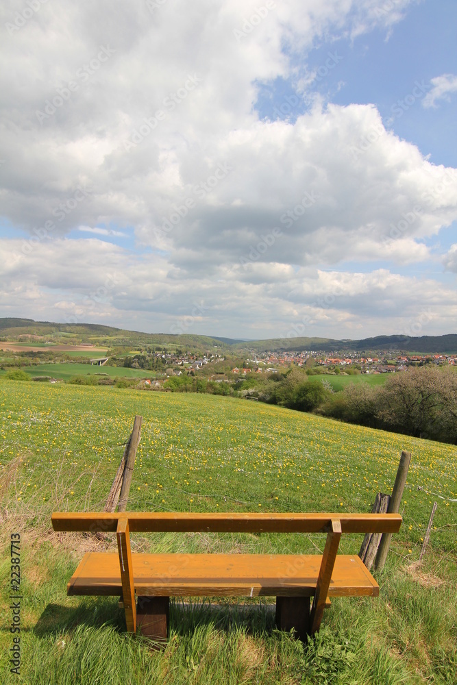 Blick auf Kleinstadt Sontra. Wiese mit Blumen. Blick auf Kleinstadt Sontra. Wiese mit Blumen.