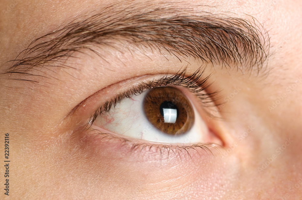 Obraz premium Das scharfe Auge