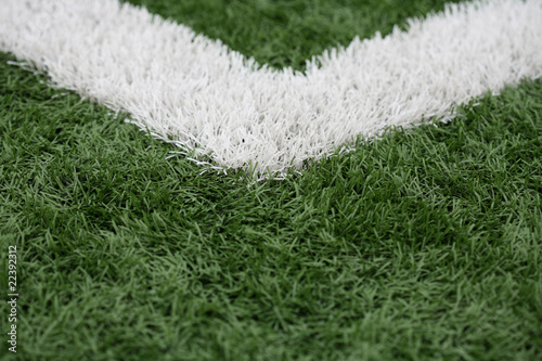 Green and White Astroturf