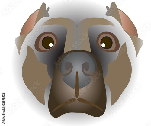 muzzle of dog