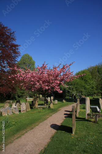 Springtime in the Churchyard