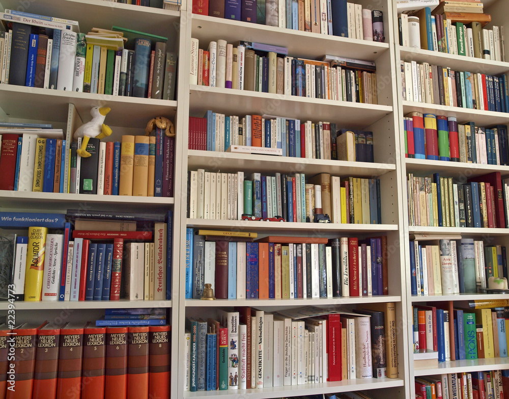 Bücherregal Bücherregal