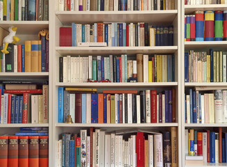 Fototapete Bibliothek Bücherregal  © ULoose