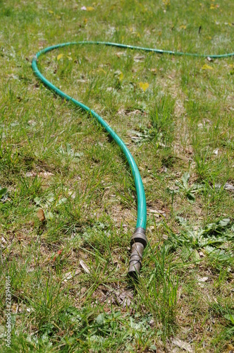 Hose Laying on Dry Lawn