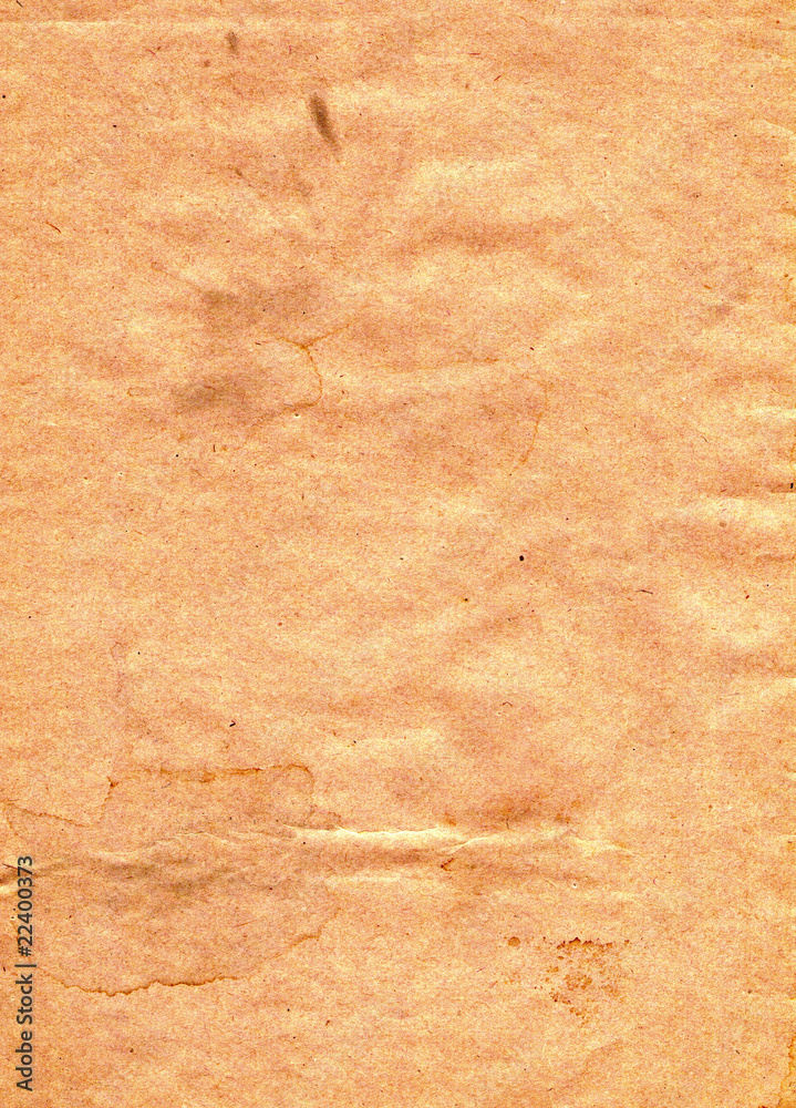 detail of the handmade paper detail of the handmade paper