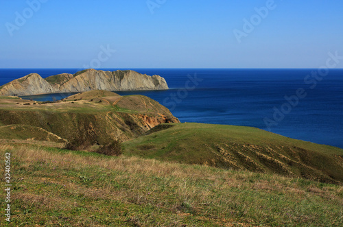 Cape Chameleon. Photo 9408