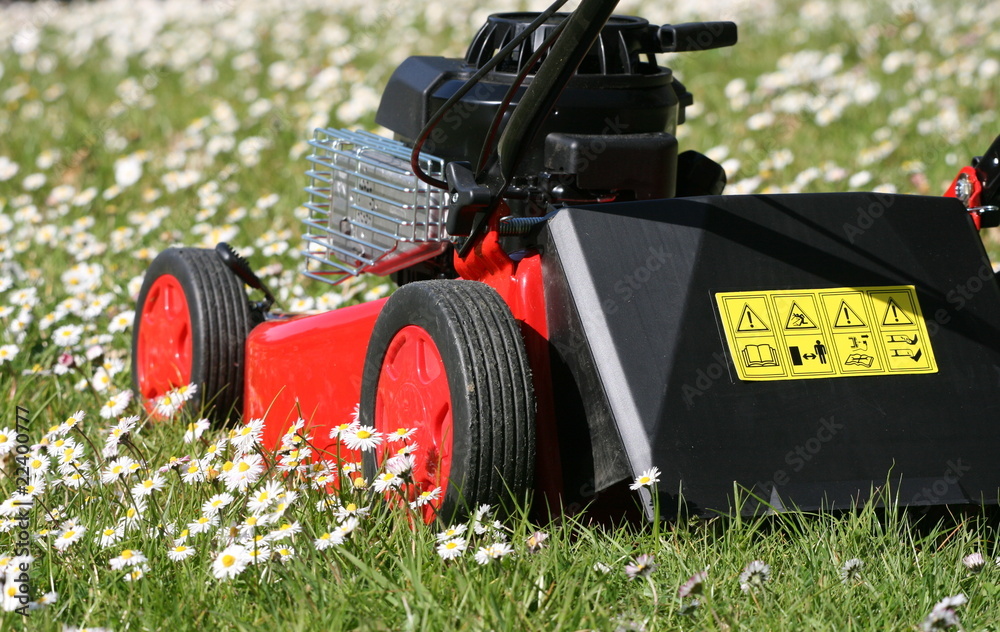 tondeuse, herbe, jardin, pelouse, gazon, couper tondeuse, herbe, jardin, pelouse, gazon, couper