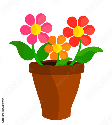 Flowers in pot