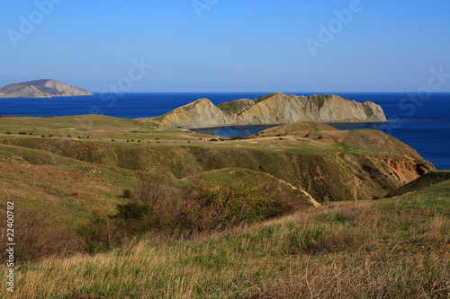 Cape Chameleon. Photo 9458