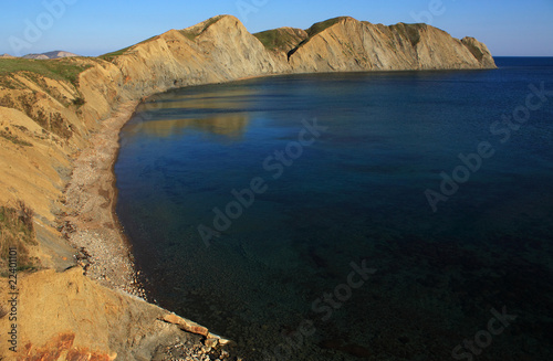 Cape Chameleon. Photo 9546