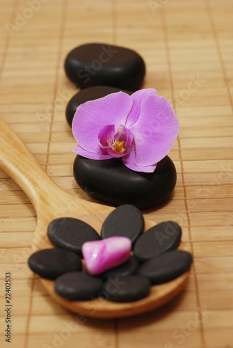 spoon with stones and the orchid