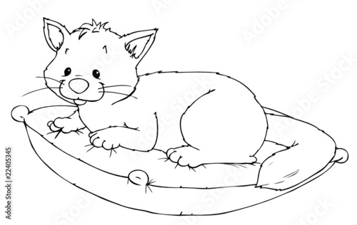 Katze, Kater, Haustier, Kissen, kuscheln