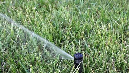 Arrosage automatique