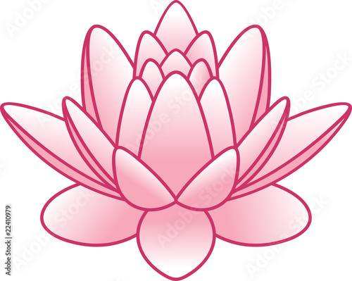 flower lotus