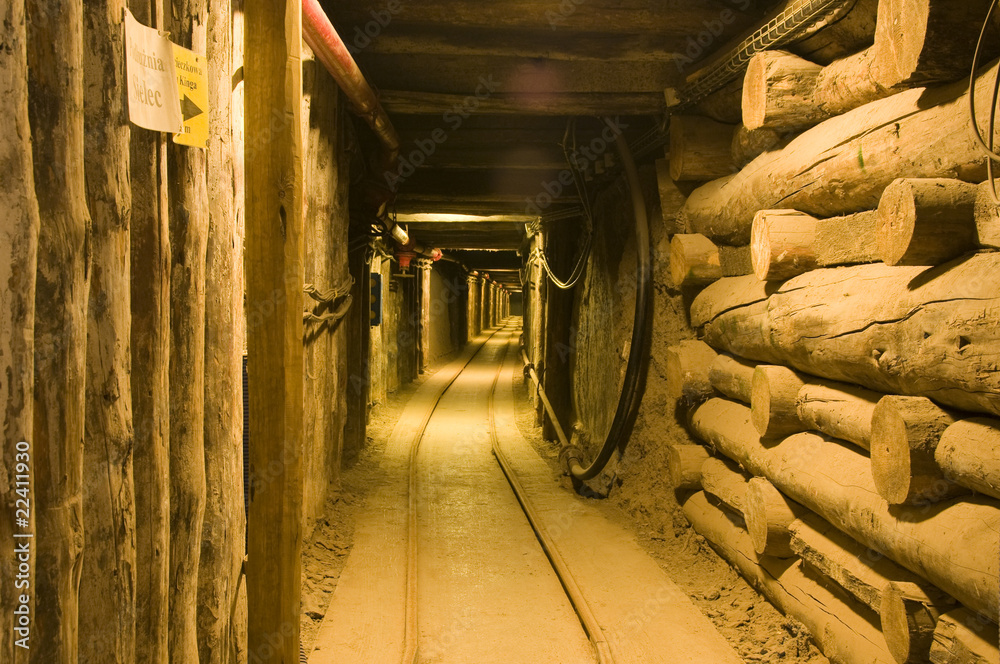 Kopalnia soli kamiennej. Wieliczka