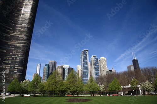 Chicago Skyline photo