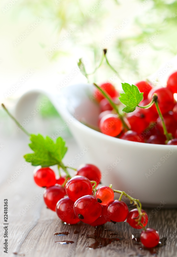 red currant red currant