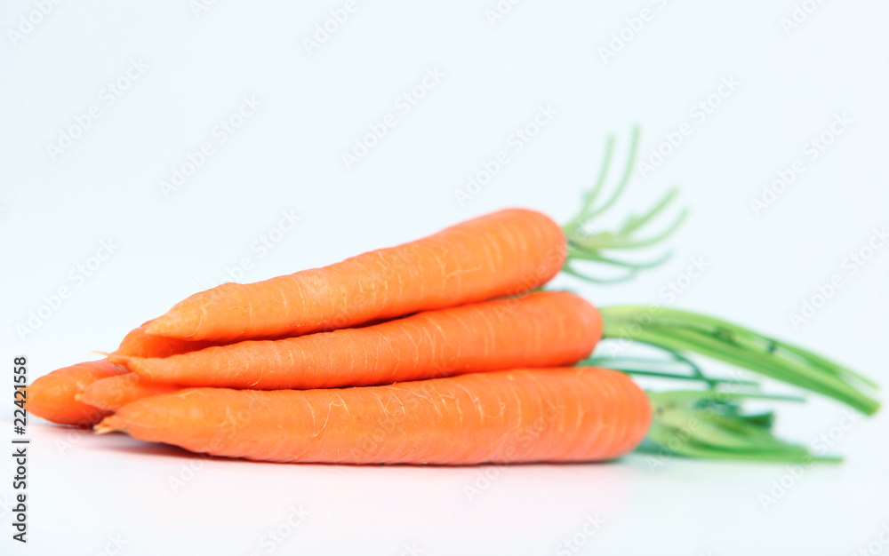 Carrots on white
