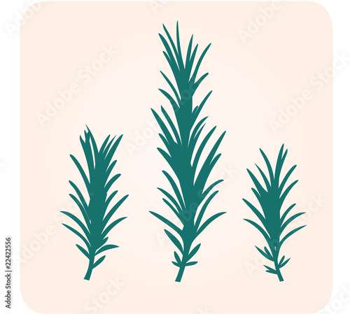Rosemary herb silhouette. Vector Illustration.