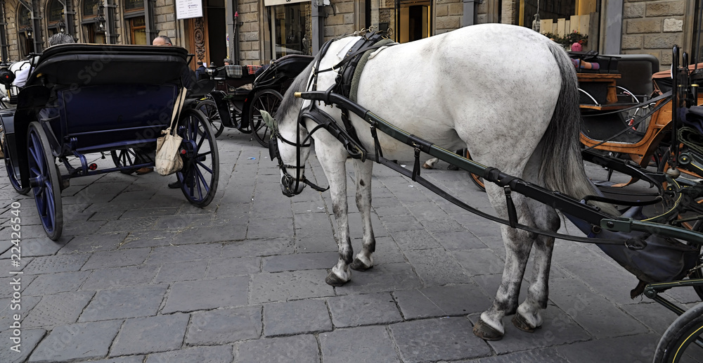 carrozza