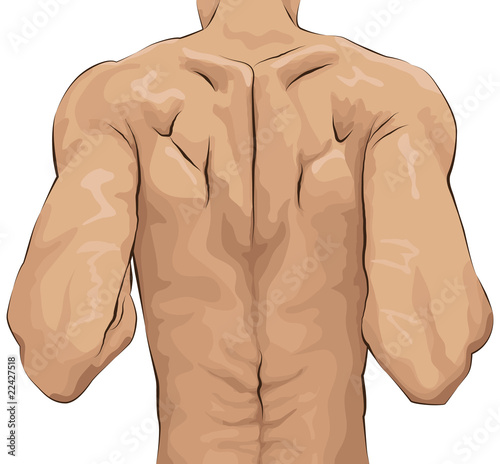 Sketchy illustration of man's back