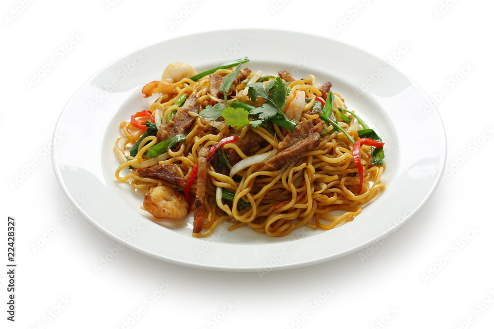 Stir-fried noodles , Chow mein , Chinese cuisine Stir-fried noodles , Chow mein , Chinese cuisine