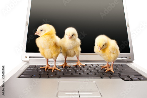 business first steps