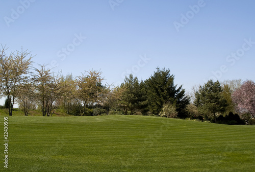 a perfect green lawn in a big garden