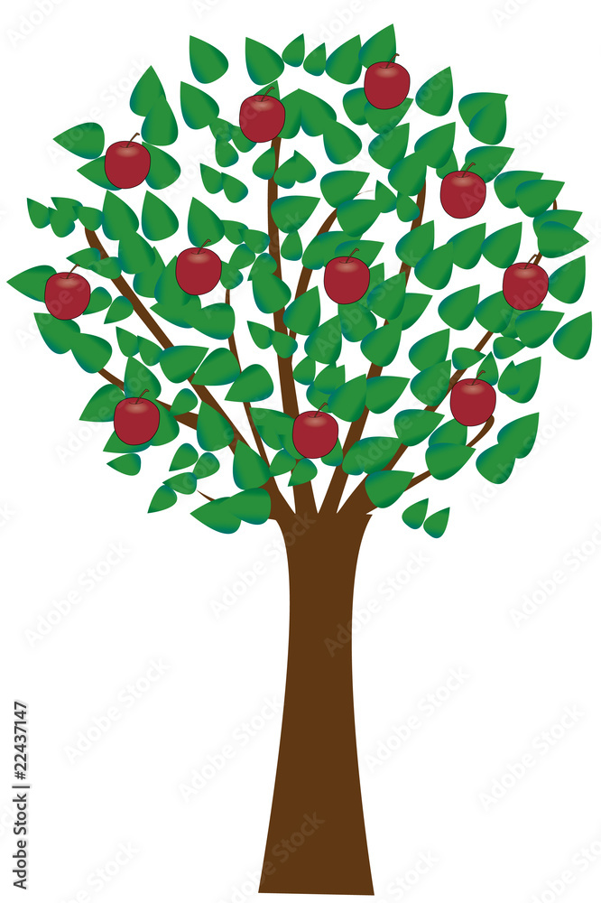 applr tree