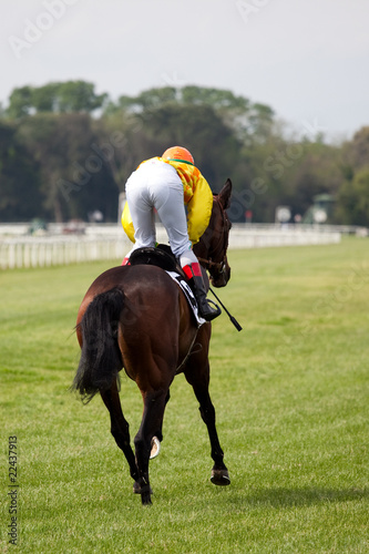 horse at gallop race at hippodrome