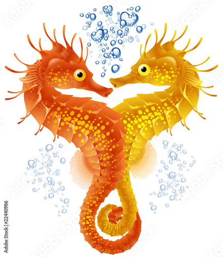 Seahorses in love