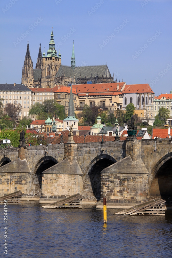 Obraz premium Spring Prague's gothic Castle with the Charles Bridge