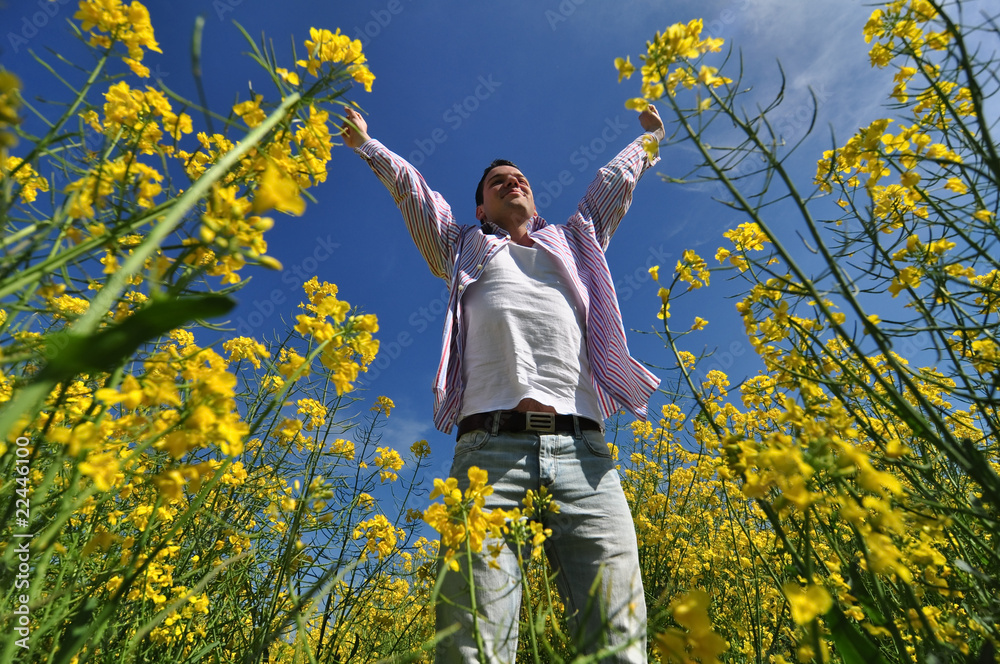 young man in a yellow field of rape young man in a yellow field of rape