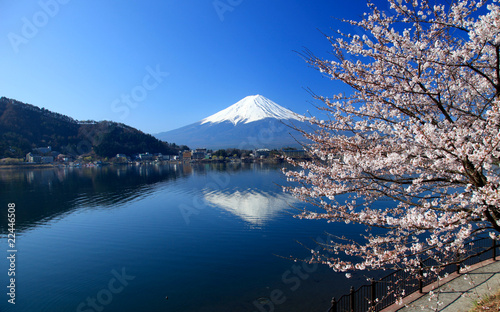 Mount Fuji and sakura  Japan