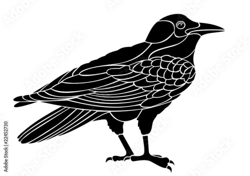 raven vector