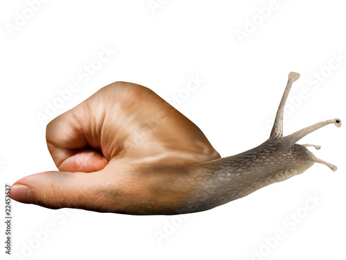 Isolated surreal snail photo