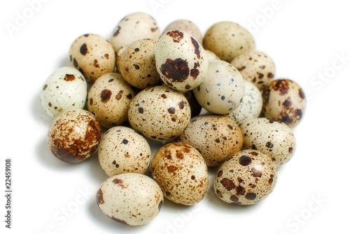 Pile of quail eggs